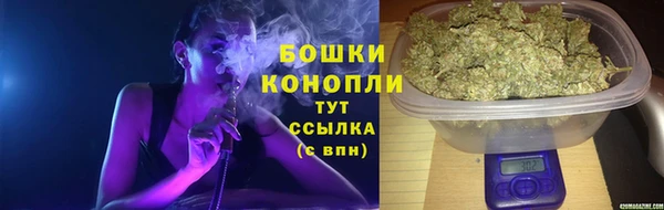 стафф Новокубанск