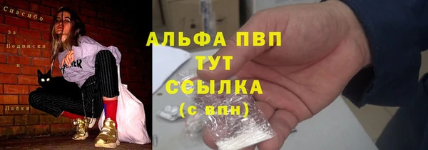 стафф Новокубанск